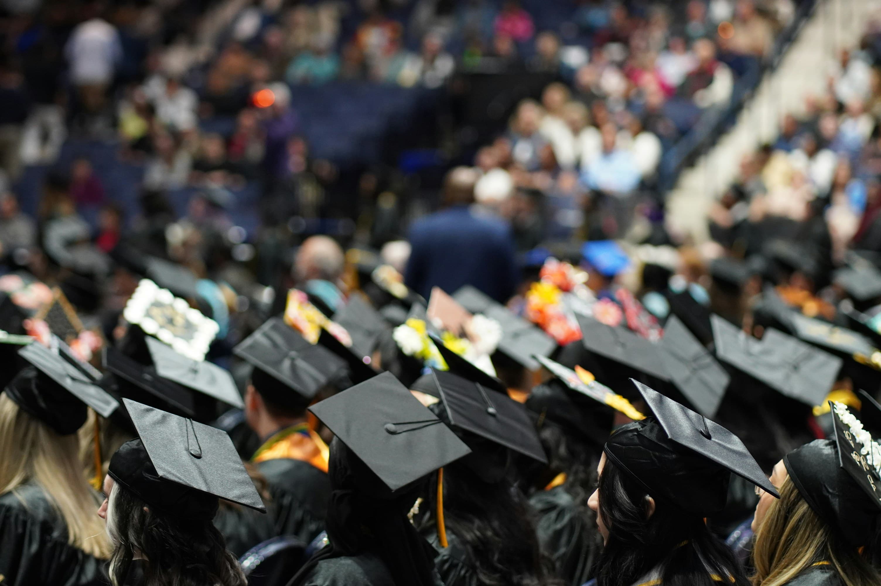 Micro-Credentials vs Degrees: Are They Truly Better?